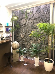 観葉植物