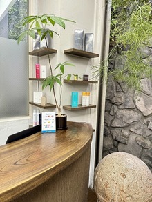 長生きしてくれている観葉植物