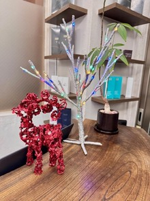 クリスマス月間