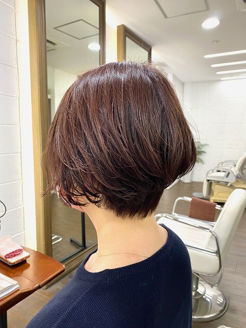 学芸大学美容室に,Hair Esthe Hi-Deはあります。学芸大学美容院にも、Hair Esthe Hi-Deはあります。Hair Esthe Hi-Deは目黒区学芸大学駅近くの美容室です。祐天寺美容室近くにも、Hair Esthe Hi-Deはあります。祐天寺美容院にも、Hair Esthe Hi-Deはあります。Hair Esthe Hi-Deは髪にやさしく、が綺麗に艶髪になります。Hair Esthe Hi-Deカットがとても上手いです。得にボブやショートスタイルが得意です。カラーも評判よく、ニューアマトラカラーがお客様に高評価です。オーガニックなヘアカラー　香草カラー色葉も人気です。パーマもとても上手く、　クリープパーマがお客様に高評価クリープパーマしながら、髪は綺麗になります。Hair Esthe Hi-Deは、オープンした2003年からヘッドスパ「クリームバスヘアエステ」を提供しています。ヘッドスパ「クリームバスヘアエステ」は、頭皮の汚れを落とし且つ頭皮の保湿効果もあり髪に栄養を与え、艶々になります。プレミアム髪質改善トリートメントで、「イオンコネクト・トリートメント」も大好評です。コロナ感染対策を万全にしております。新型コロナウイルス感染拡大防止を徹底して、お客様が安心して来店出来るようにしております。お客様同士が接触しないよう、サロン自体を個室的にしています。