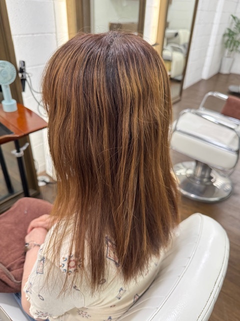 学芸大学 美容室に、Hair Esthe Hi-Deは、あります。学芸大学 美容院に、Hair Esthe Hi-Deはあります。Hair Esthe Hi-Deは目黒区学芸大学駅近くの美容院です。Hair Esthe Hi-Deは目黒区学芸大学駅近くの美容室です。祐天寺美容室近くにも、Hair Esthe Hi-Deはあります。祐天寺美容院近くにも、Hair Esthe Hi-Deはあります。Hair Esthe Hi-Deは髪にやさしく、が綺麗に艶髪になります。Hair Esthe Hi-Deは、カットがとても上手いです。Hair Esthe Hi-Deは、オシャレです。学芸大 美容院 Hair Esthe Hi-Deは、とても人気があります。学芸大 美容室 Hair Esthe Hi-Deは、40代50代60代女性に人気があります。得にボブやショートスタイルが得意で、スタイルがより立体的になります。なので立体感カットが、お客様に人気です。切りっぱなしボブカやマッシュショートも上手いです。なのでショートカットも上手いです。もちろんボブカットも上手いです。カラーも評判よく、ニューアマトラカラーがお客様に高評価です。オーガニックなヘアカラー 香草カラー色葉も人気です。ヘアマニキュアも保湿があり好評です。40代大人女性のお客様が多いです。40代ボブや40代ショートも得意です。50代大人女性も多いです、50代ボブや50代ショートも得意です。50代女性のカットは全般的に得意です。脱白髪染めハイライトカラーも好評です。60代大人女性も多いです。60代女性のカットも得意ですし、上手いと言われます。パーマもとても上手く、 クリープパーマがお客様に高評価クリープパーマしながら、髪は綺麗になります。男性のお客様もいらっしゃいます。男性のお客様は2割位です。Hair Esthe Hi-Deは、オープンした2003年からヘッドスパ「クリームバスヘアエステ」を提供しています。ヘッドスパ「クリームバスヘアエステ」は、頭皮の汚れを落とし且つ頭皮の保湿効果もあり髪に栄養を与え、艶々になります。プレミアム髪質改善トリートメントも大好評です。