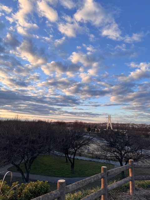 学芸大学 美容室に、Hair Esthe Hi-Deは、あります。学芸大学 美容院に、Hair Esthe Hi-Deはあります。Hair Esthe Hi-Deは目黒区学芸大学駅近くの美容室です。Hair Esthe Hi-Deは、東急東横線沿い駅近くの美容室です。Hair Esthe Hi-Deは、東急東横線沿い駅近くの美容院です。祐天寺美容室近くにも、Hair Esthe Hi-Deはあります。祐天寺美容院近くにも、Hair Esthe Hi-Deはあります。Hair Esthe Hi-Deは目黒区学芸大学駅近くの美容院です。Hair Esthe Hi-Deは目黒区学芸大学駅近くの美容室です。Hair Esthe Hi-Deは髪にやさしく、が綺麗に艶髪になります。Hair Esthe Hi-Deカットがとても上手いです。Hair Esthe Hi-Deは、オシャレです。学芸大 美容院 Hair Esthe Hi-Deは、とても人気があります。学芸大 美容室 Hair Esthe Hi-Deは、40代50代女性に人気があります。得にボブやショートスタイルが得意で、スタイルがより立体的になります。なので立体感カットが、お客様に人気です。切りっぱなしボブカやマッシュショートも得意です。なのでショートカットも得意です。もちろんボブカットも得意です。カラーも評判よく、ニューアマトラカラーがお客様に高評価です。オーガニックなヘアカラー 香草カラー色葉も人気です。ヘアマニキュアも保湿があり好評です。40代大人女性のお客様が多いです。40代ボブや40代ショートも得意です。50代大人女性も多いです脱白髪染めハイライトカラーも好評です。60代大人女性も多いですパーマもとても上手く、 クリープパーマがお客様に高評価クリープパーマしながら、髪は綺麗になります。Hair Esthe Hi-Deは、オープンした2003年からヘッドスパ「クリームバスヘアエステ」を提供しています。ヘッドスパ「クリームバスヘアエステ」は、頭皮の汚れを落とし且つ頭皮の保湿効果もあり髪に栄養を与え、艶々になります。プレミアム髪質改善トリートメントも大好評です。