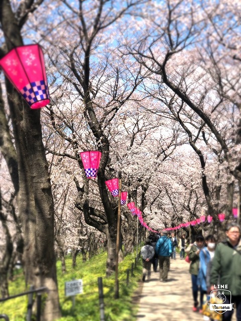 学芸大学美容室　学芸大学美容院　学芸大学駅美容室　学芸大学駅美容院　ハイド美容室　カットが上手い　カラー　パーマ　縮毛矯正　髪に優しい